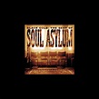‎Black Gold: The Best of Soul Asylum - Album by Soul Asylum - Apple Music
