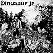 Repulsion Chords & Tabs - Dinosaur Jr
