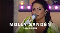 Molly Sandén – Rosa Himmel | Allsång på Skansen Extra | SVT - YouTube