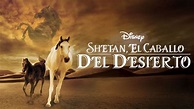 Ver Shetan, el caballo del desierto | Película completa | Disney+