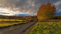 Herbststurm Foto & Bild | landschaft, jahreszeiten, herbst Bilder auf ...