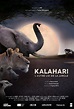 El Kalahari, la otra ley de la selva (Miniserie de TV) (2021 ...