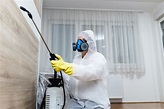 How to know when you need to call the exterminator | Better Homes and ...