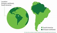 As disputas por uma Amazônia internacional - Amazônia Latitude