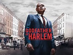 MGM+ show Godfather of Harlem season 3 cast additions