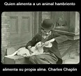 Frase de Charles Chaplin | Animales frases, Animales, Mascotas frases