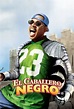 El caballero negro (2002) Película - PLAY Cine