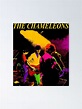"The-Chameleons-Live-in-Toronto" Poster by ErrolIsaac | Redbubble