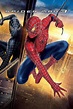 Spider-Man 3 (2007) - Posters — The Movie Database (TMDB)