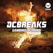 DC Breaks - Gambino / Burning Lyrics and Tracklist | Genius