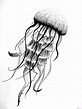 磊【+2750】Los mejores dibujos de medusas para colorear ⚡️ – Dibujos para ...