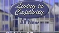 Living in Captivity (TV Series 1998– ) - Episode list - IMDb