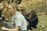 Regreso de Jane Goodall a la Argentina - Instituto Jane Goodall Argentina