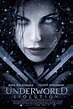 Underworld: Evolution (2006) - Pictures, Photos & Images - IMDb ...