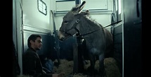 ‘EO’ Trailer: Jerzy Skolimowski’s Cannes Winner Is an Ode to Donkeys ...