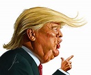 Trump caricature :: Behance