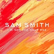 Sam Smith – I'm Not the Only One Lyrics | Genius
