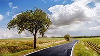 2560x1080 resolution | paved road between green grass field, trees ...