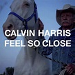 [Discuss] Calvin Harris – Feel So Close (Radio Rip)?? | The Music Ninja