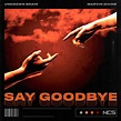 Say Goodbye by Marvin Divine + Unknown Brain on NCS