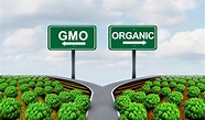 Another opinion about genetically modified crops | Historic Union County