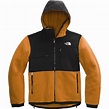 The North Face Denali 2 Hooded Fleece Jacket - Men's - Clothing