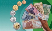 Take a look at South Africa's new banknotes and coins | Review