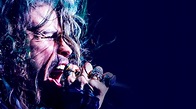 Guarda Steven Tyler - Out on a Limb online - Episodi completi in streaming