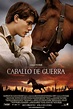 Caballo de Guerra (War Horse) - Tomatazos | Crítica de cine, televisión ...