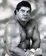 BIO/Profil Don Muraco