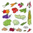 Hand Drawn Vegetables Set. Vector. Royalty-Free Stock Image - Storyblocks