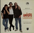 Lindisfarne Amigos UK vinyl LP album (LP record) (585819)