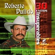 Roberto Pulido - 30 Exitos Insuperables | iHeart