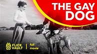 The Gay Dog | Full HD Movies For Free | Flick Vault - YouTube