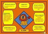 El león Infografía- Información para niños | Activities for kids, Monse ...