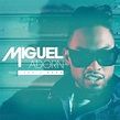 [R&B] Miguel – Adorn (Remix) (Feat. Jessie Ware) | The Music Ninja