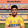 The Inspiring Tale of Nicolas Ibañez: A Sports Biography
