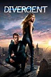 Divergent Movie Poster - ID: 350150 - Image Abyss
