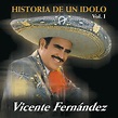 Mujeres Divinas - song and lyrics by Vicente Fernández | Spotify