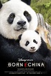 "Born in China" dévoile son affiche. • Disney-Planet