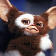 'Gremlins': One of the Greatest Films of the 80s!