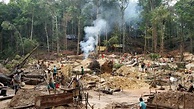 Amazonien: Zerstörung der Regenwälder - Südamerika - Kultur - Planet Wissen