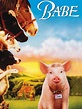 Babe (1995) - Rotten Tomatoes