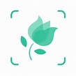Applications pour reconnaître les plantes : notre top 5 | Revue du Mobile