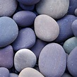 Purple Pebbles – Image Conscious