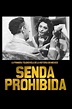 "Senda prohibida" Episode #1.9 (TV Episode 1958) - Quotes - IMDb