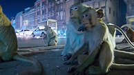"Night on Earth" Sleepless Cities (TV Episode 2020) - IMDb