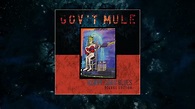 Gov't Mule - Hiding Place (Visualizer Video) - YouTube