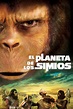 Pelicula El planeta de los simios (1968) Online o Descargar HD