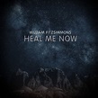 William Fitzsimmons - Heal Me Now - Reviews - Album of The Year